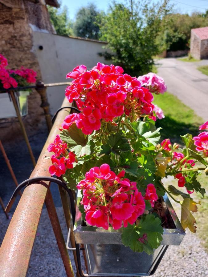 Lazy Days Bed and Breakfast Rancon Exteriör bild