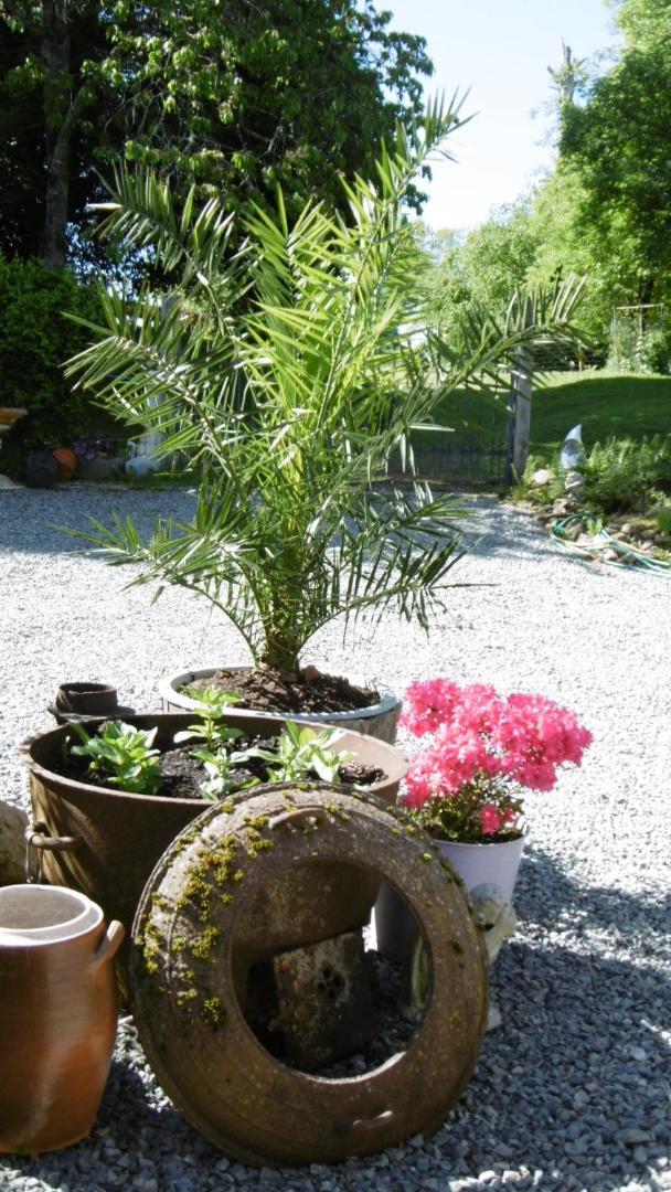 Lazy Days Bed and Breakfast Rancon Exteriör bild